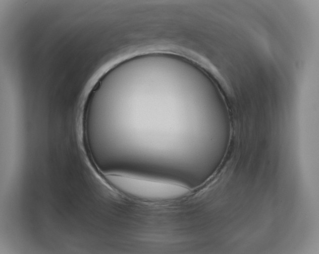X0000110681512200906191355