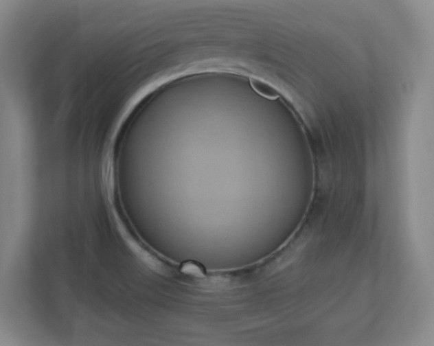 X0000110681515200906191355