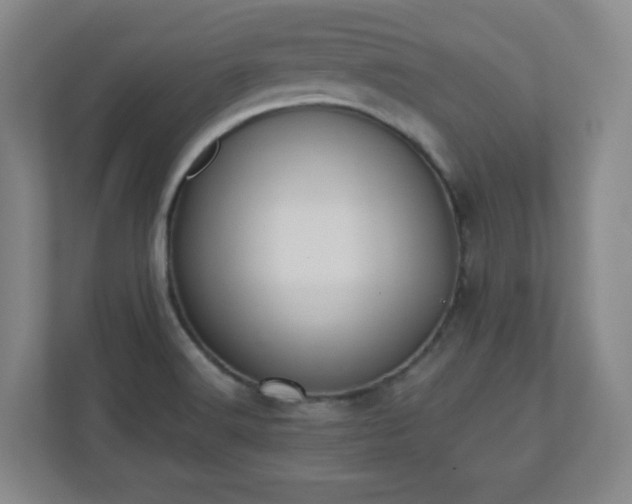 X0000110681516200906191355