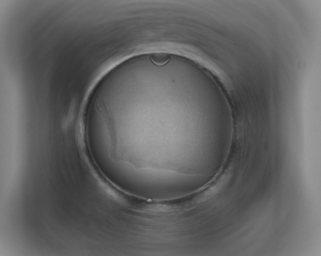 X0000110681517200906191355