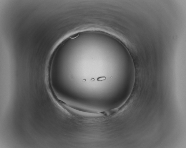 X0000110681518200906191355