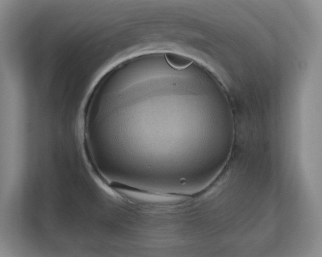 X0000110681519200906191355