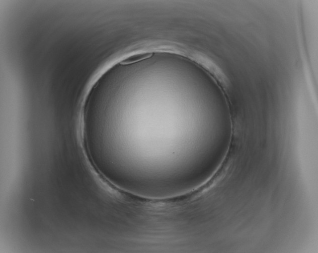 X0000110681520200906191355