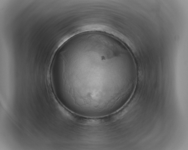 X0000110681521200906191355