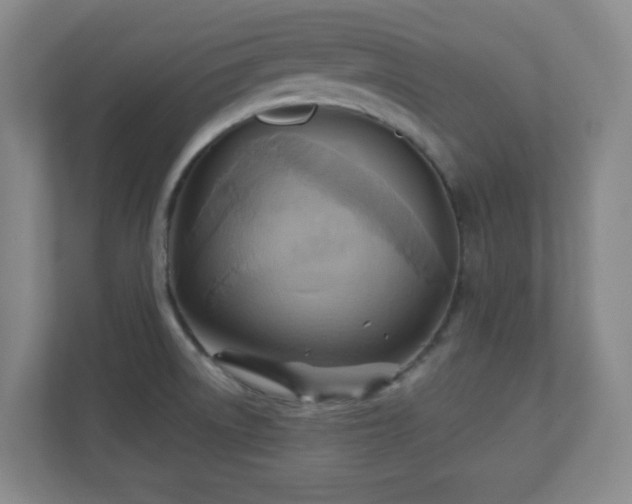 X0000110681522200906191355
