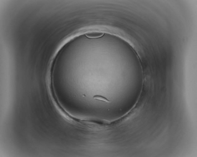 X0000110681523200906191355