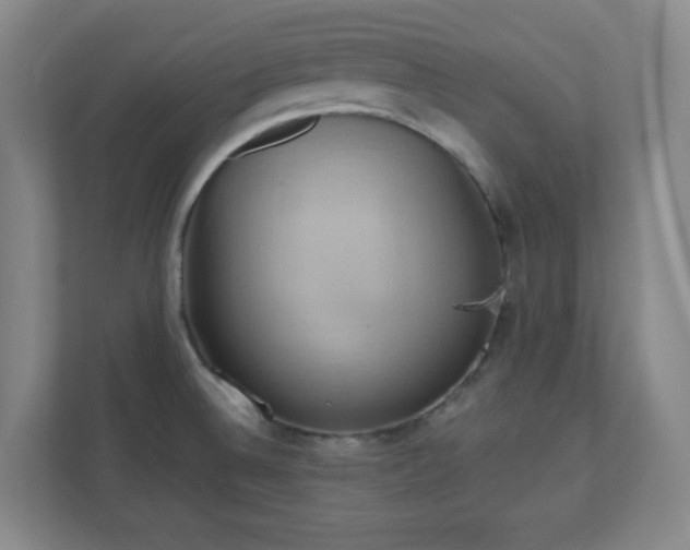 X0000110681524200906191355