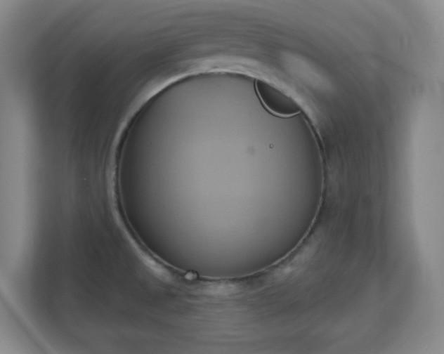 X0000110681525200906191355
