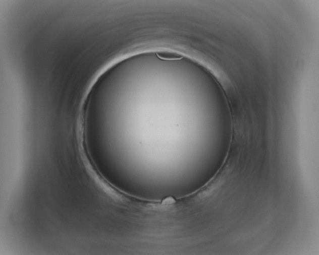 X0000110681526200906191355