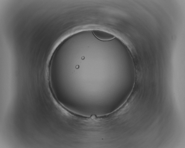 X0000110681527200906191355