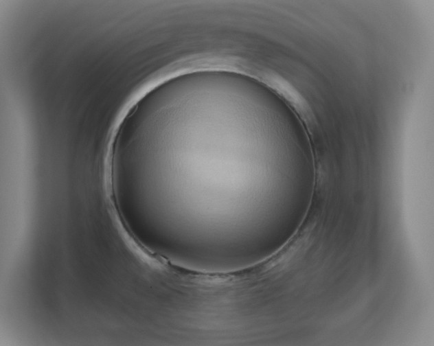 X0000110681528200906191355