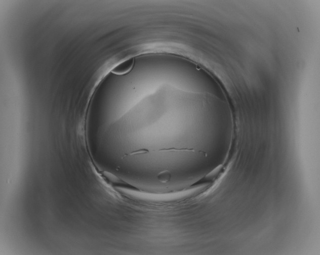X0000110681529200906191355