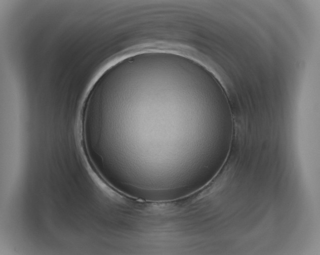 X0000110681531200906191355