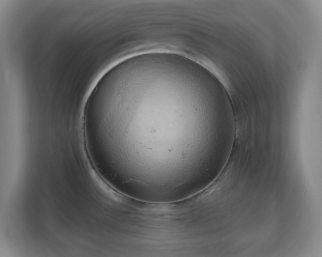 X0000110681532200906191355
