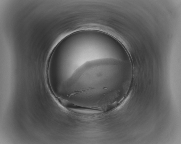 X0000110681533200906191355