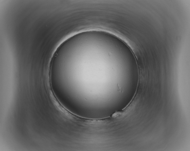 X0000110681534200906191355