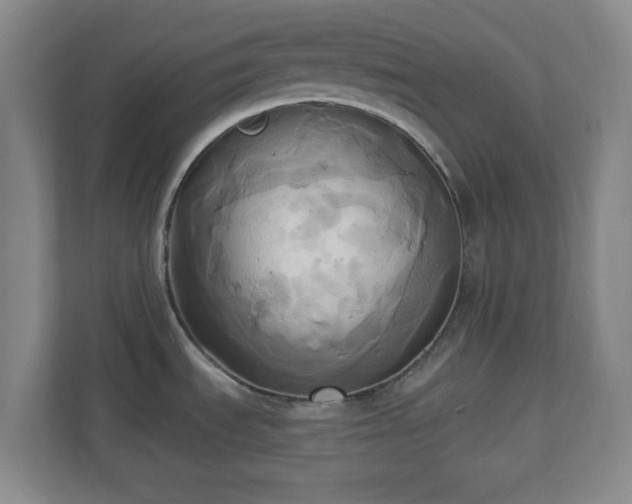X0000110681535200906191355
