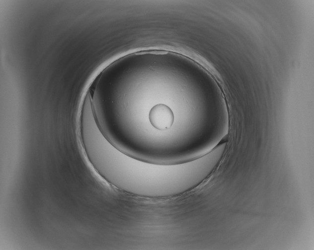 X0000110681536200906191355