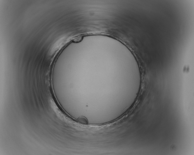 X0000110680002200906261331