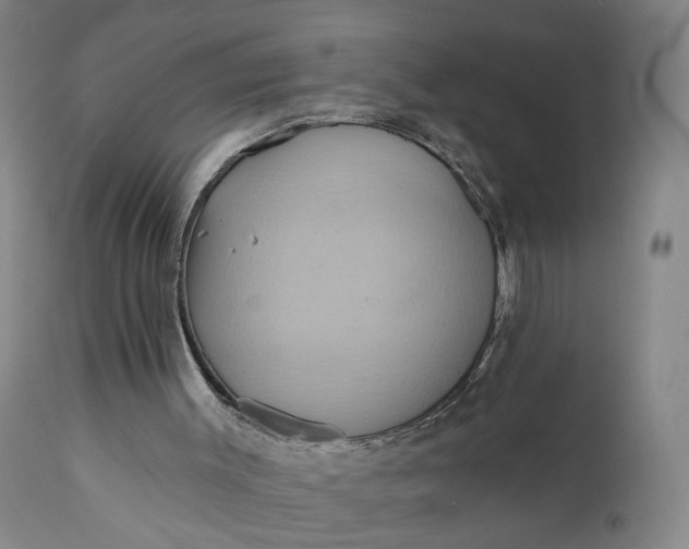 X0000110680003200906261331