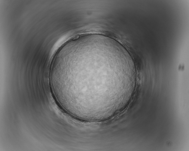 X0000110680004200906261331