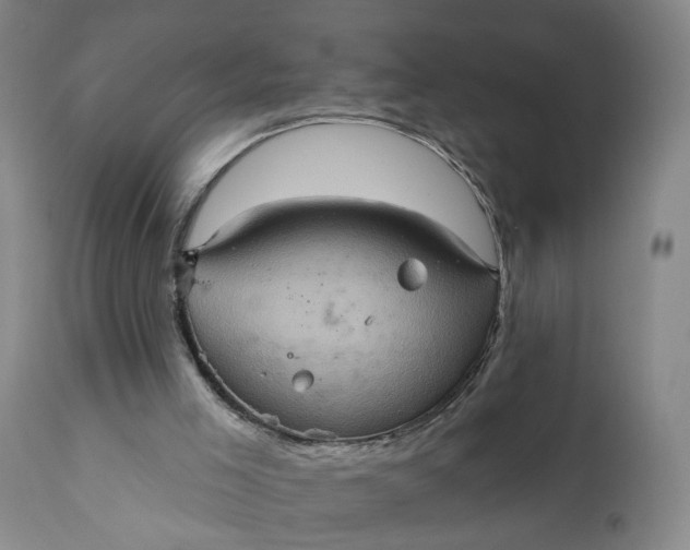 X0000110680005200906261331