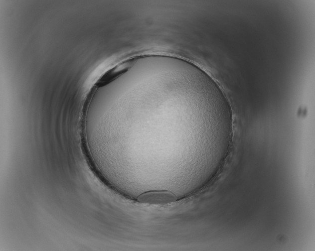 X0000110680007200906261331