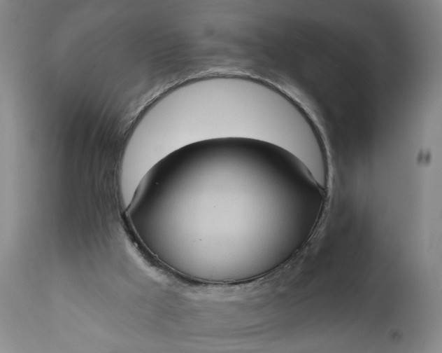 X0000110680009200906261331