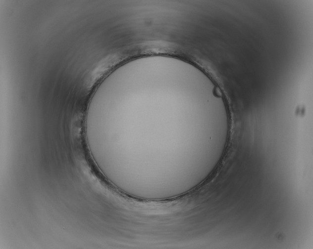 X0000110680010200906261331