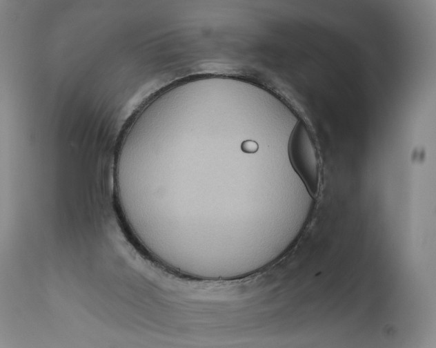 X0000110680011200906261331