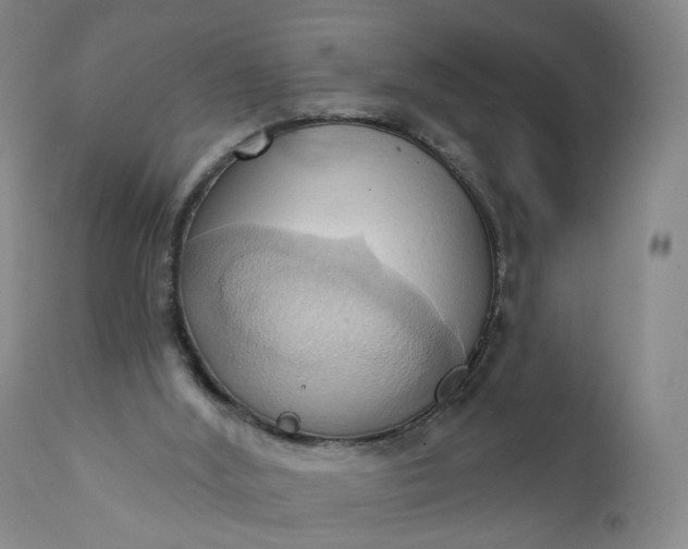 X0000110680012200906261331