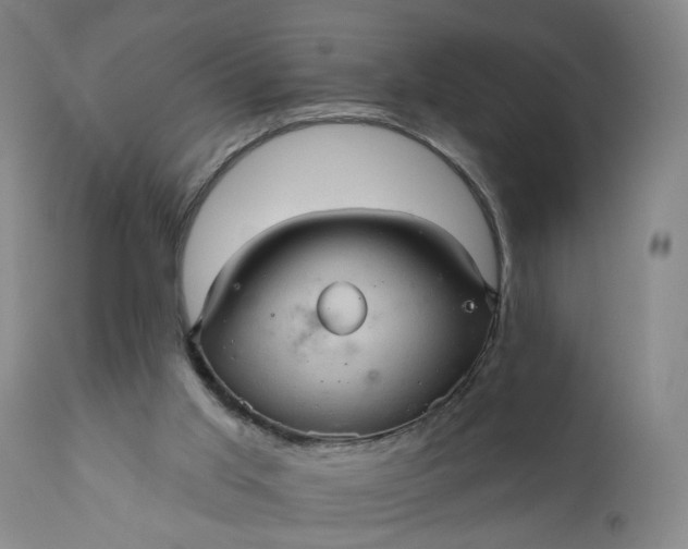 X0000110680013200906261331