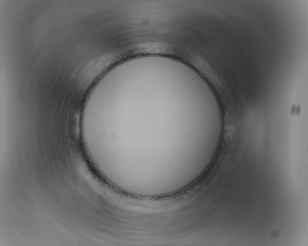 X0000110680014200906261331