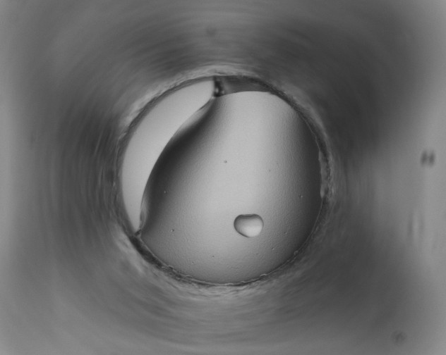 X0000110680015200906261331