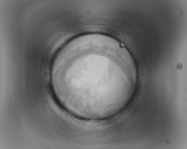 X0000110680016200906261331