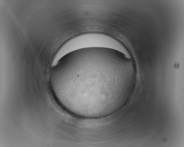 X0000110680017200906261331