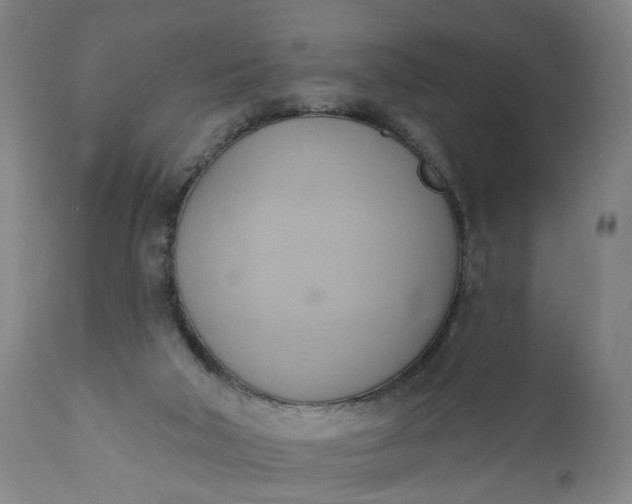 X0000110680018200906261331