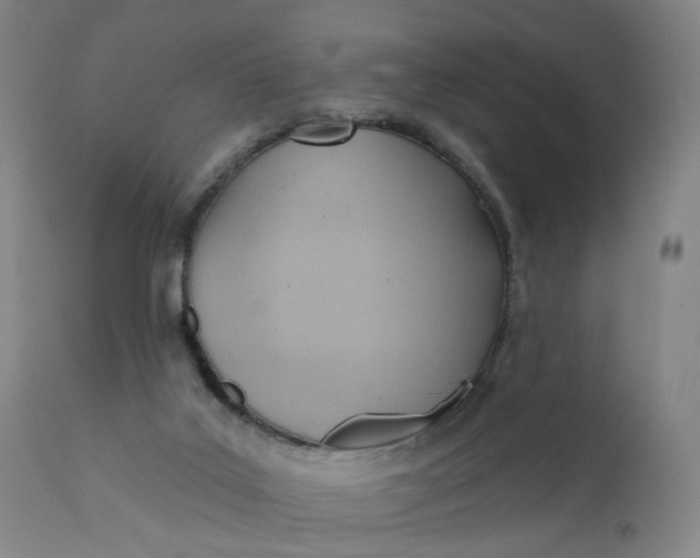 X0000110680019200906261331