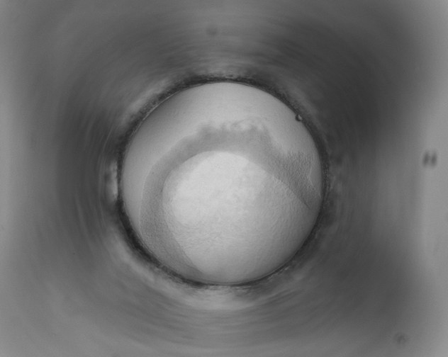 X0000110680020200906261331