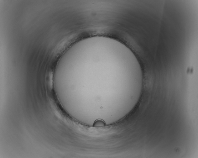 X0000110680022200906261331