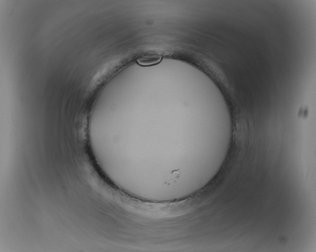 X0000110680023200906261331