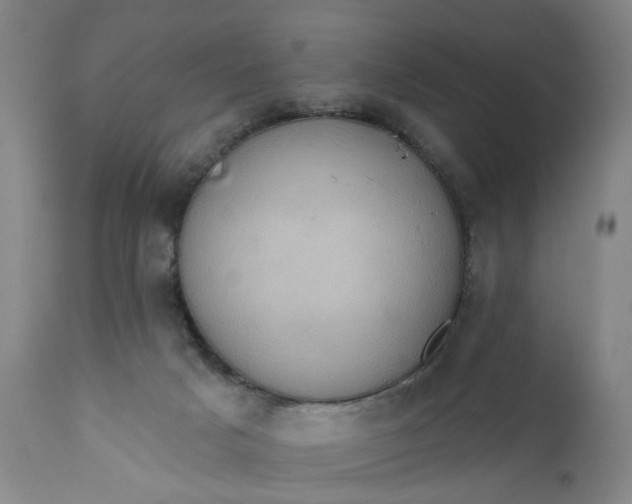 X0000110680025200906261331