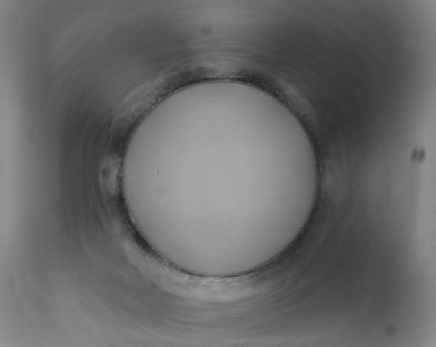 X0000110680026200906261331