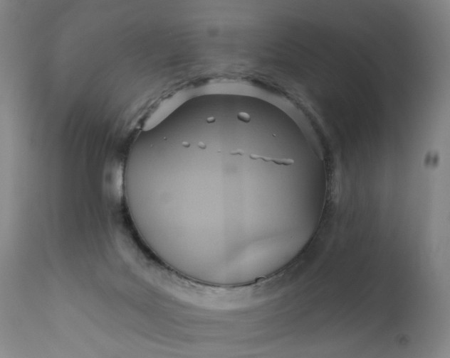 X0000110680027200906261331