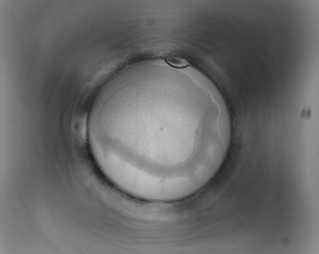 X0000110680028200906261331