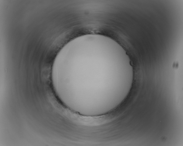 X0000110680030200906261331