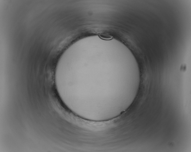 X0000110680031200906261331