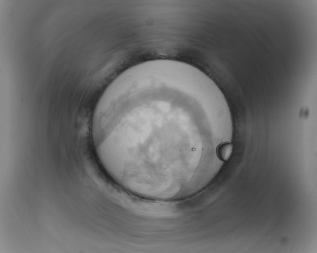 X0000110680032200906261331