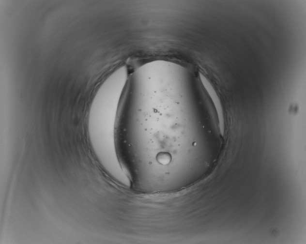 X0000110680033200906261331