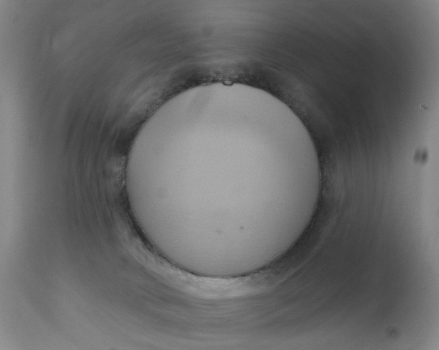 X0000110680034200906261331